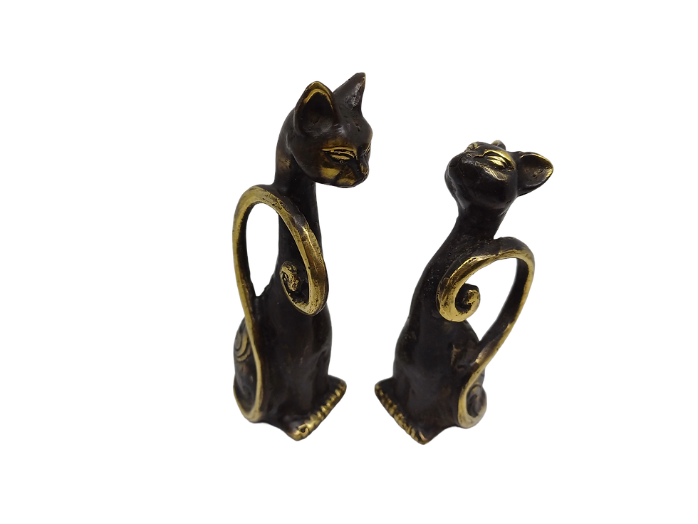 Thumbnail: set of kittens