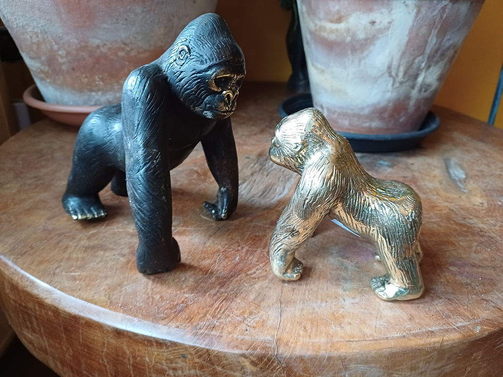 Miniatura: gorila marrón