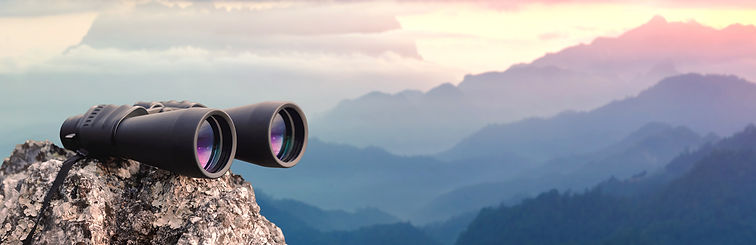 SupervisionCoachingFernglas_edited.jpg