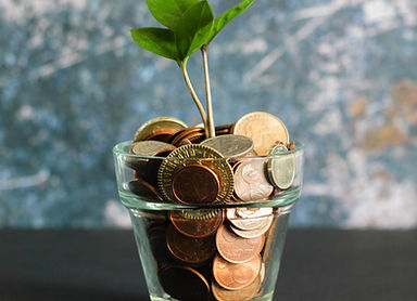 green plant in clear glass vase_edited.jpg