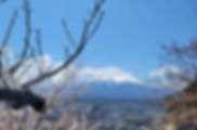 MtFuji_eyecatch-min_edited.jpg