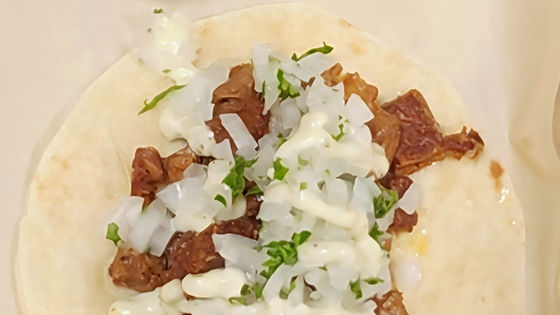 Plant Based Carne Asada Taco (v)