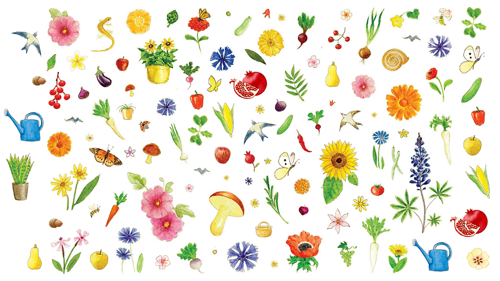icons_biger.png