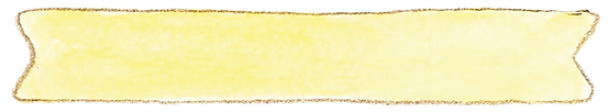banner_web4.png