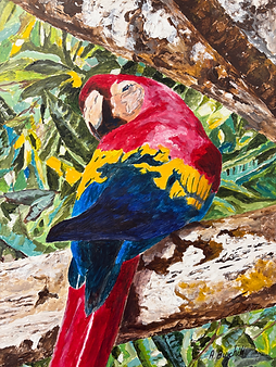 Colour in the jungle