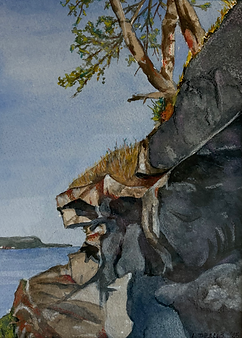 Wild Malaspina Galleries- Gabriola Island