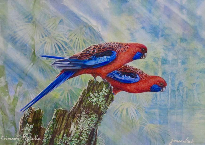 Crimson Rosellas by Southern Highlands Bird Artist James Luck