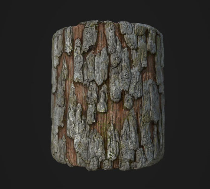 tree_bark_6_variety.jpg