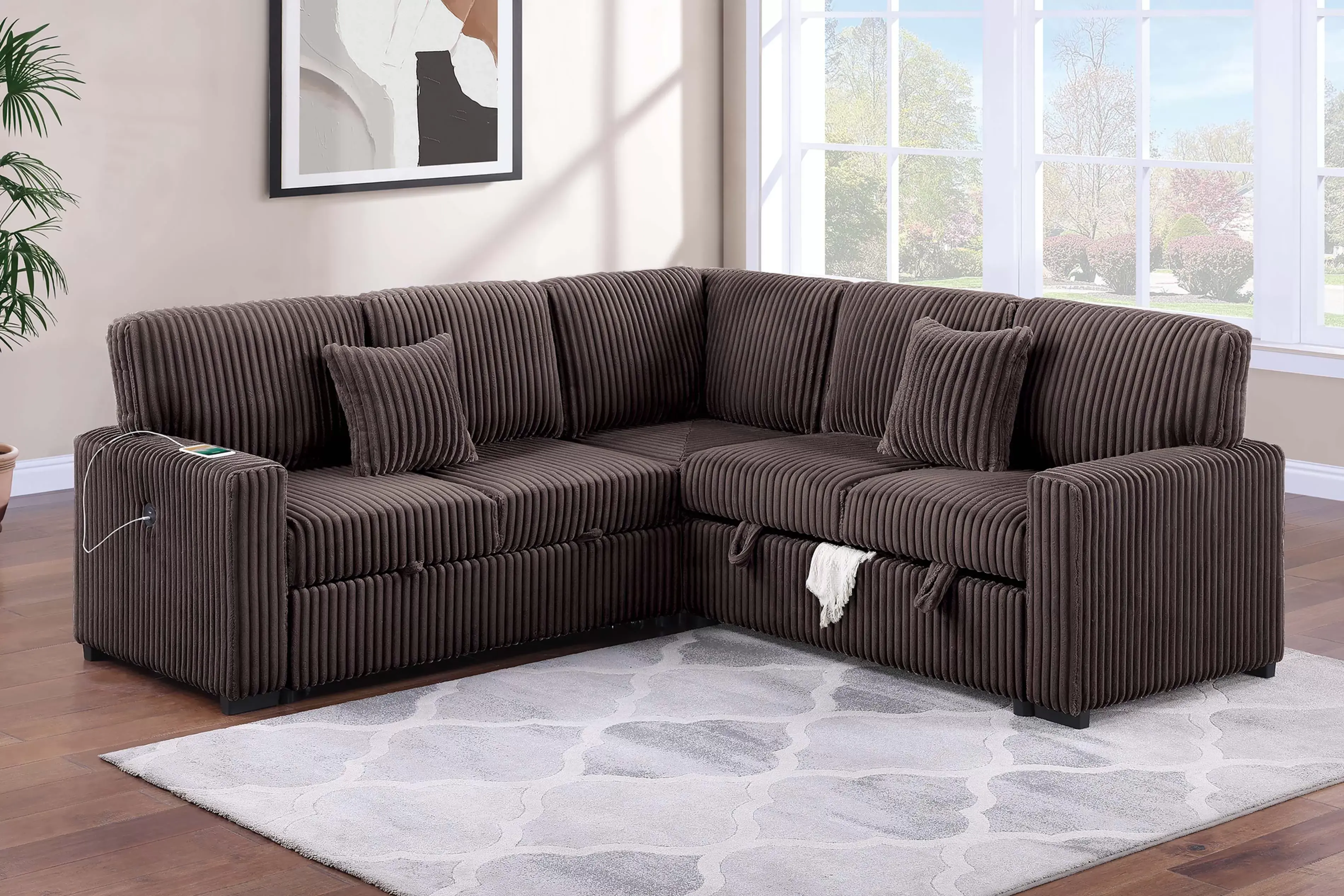 Reversible Storage Sofa + Reversible Sofa with Pull-Out Bed + USB Port