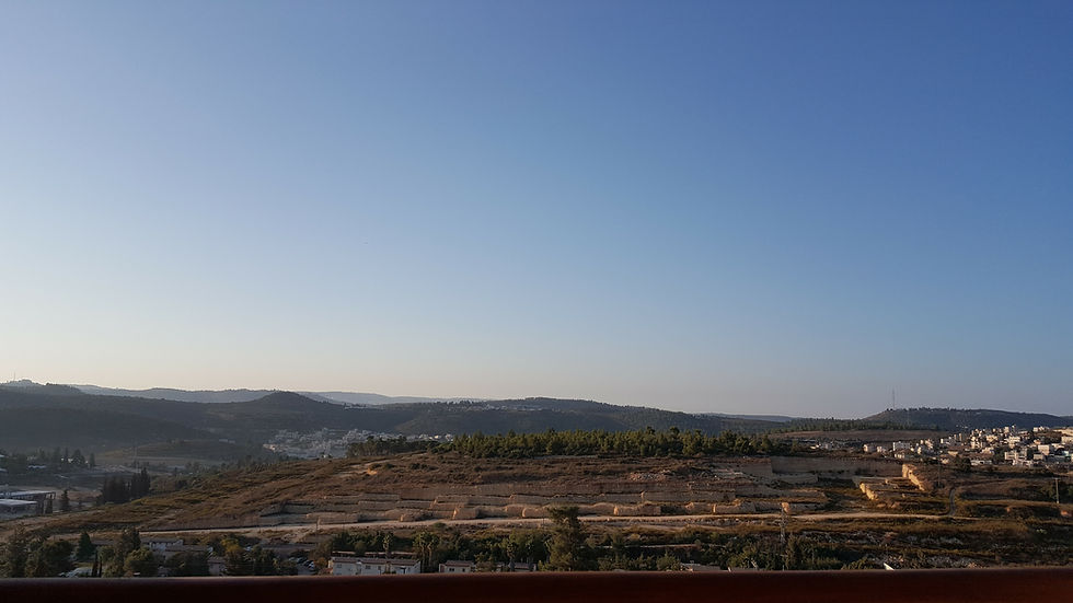הנוף ממרפסת החדר מלון כרמים