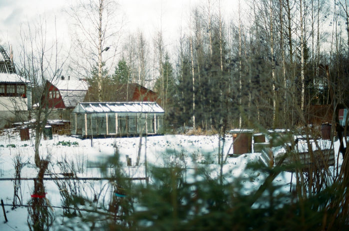 Analog photography picture of a cabin house and glasshouse in winter next to the forest on Russian countryside in Leningrad oblast Russia