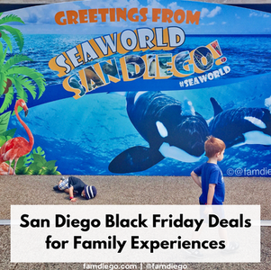 San Diego Black Friday Deals for Family Experiences (2023)