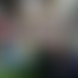 Kids Folk Rock Concerts