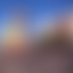 San Diego's Finest Holiday Parades