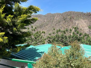 All-inclusive creative retreat near Rishikesh in the Himalayan mountains. At Maasa Retreat & Resort