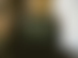 Episodes & Mini Series