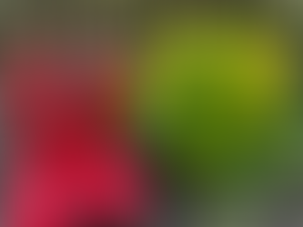 The Magic of Rainy Days & Rain Boots