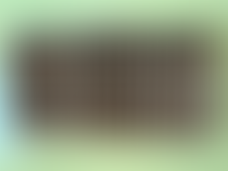 A Shadow Box of Memories