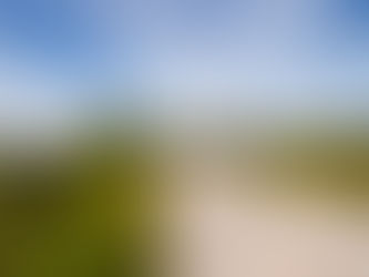 The Unexpected Guest