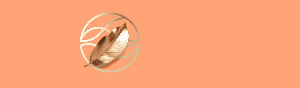 Services page background