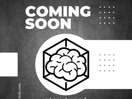 REMODELING OUR HOME ONLINE