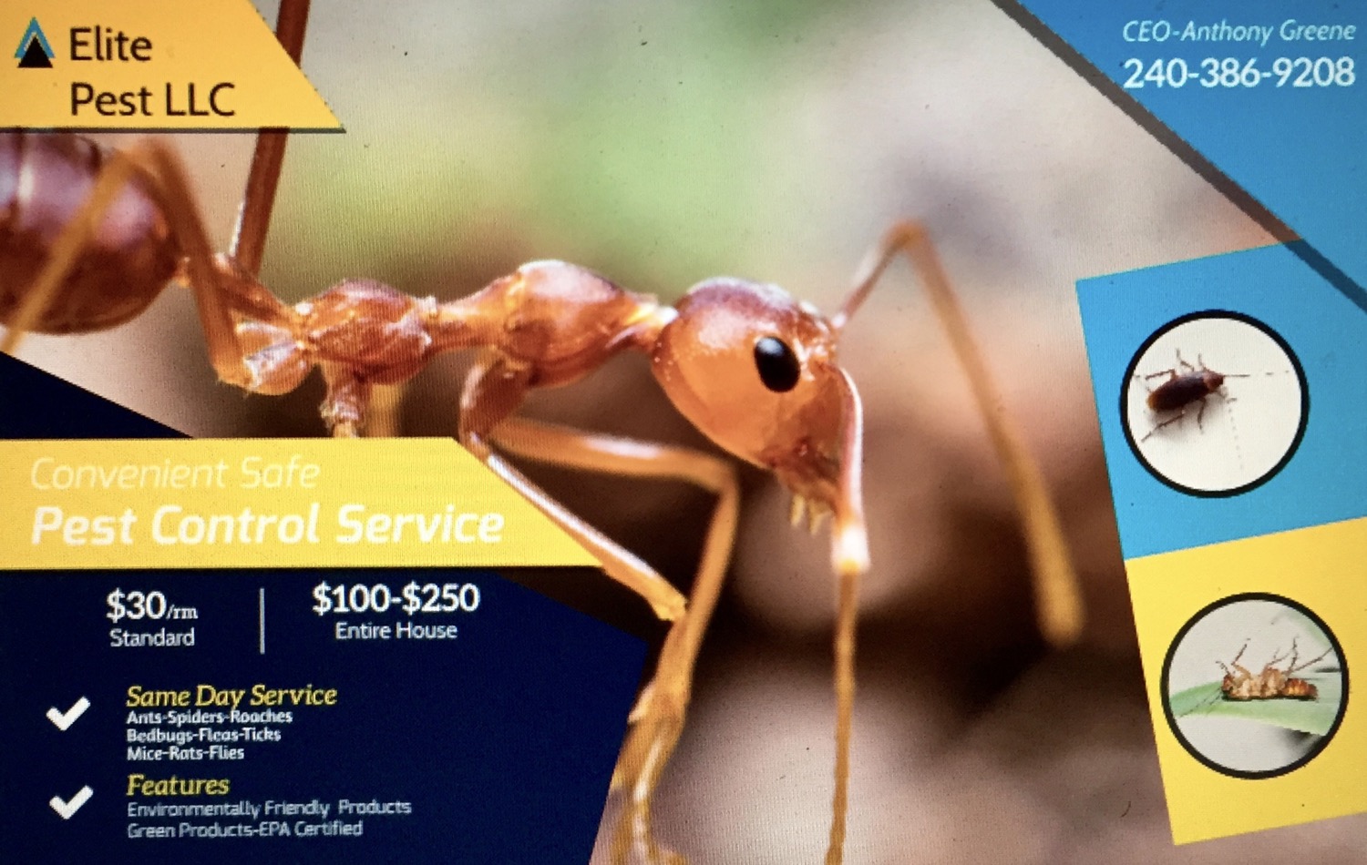 Join "Elite Pest Control " on the Spaces by Wix App