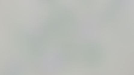 Exhibition - 「五月の緑、薫る風」 / 2026.5.23 Sat -6.21 Sun