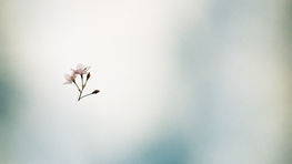 Exhibition - Keita Noguchi Photo Exhibition Preview /2026.3.18 wed -3.22 sun