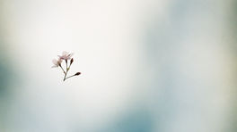 Exhibition - Keita Noguchi Photo Exhibition Preview ／2026.3.18 wed -3.22 sun