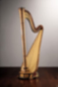 ARIANNA-1-200x300