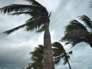 5 ways to prepare for Hurricane Season without breaking your budget