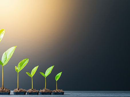 Tuesday Talks: Grow and Soar