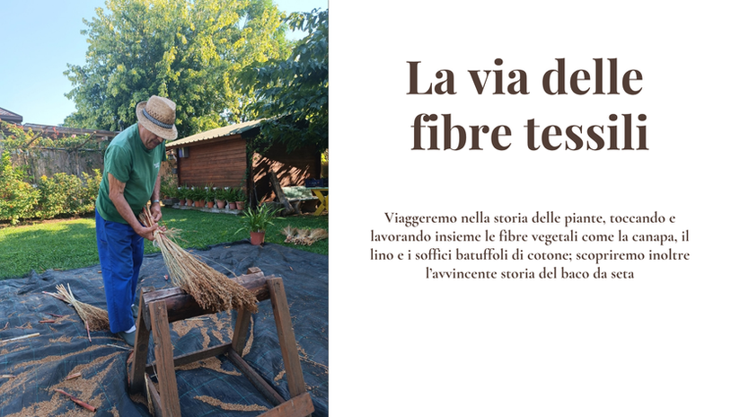 Attività didattiche dedicate ai nido d'infanzia, scuole dell'infanzia e primarie vicino a me