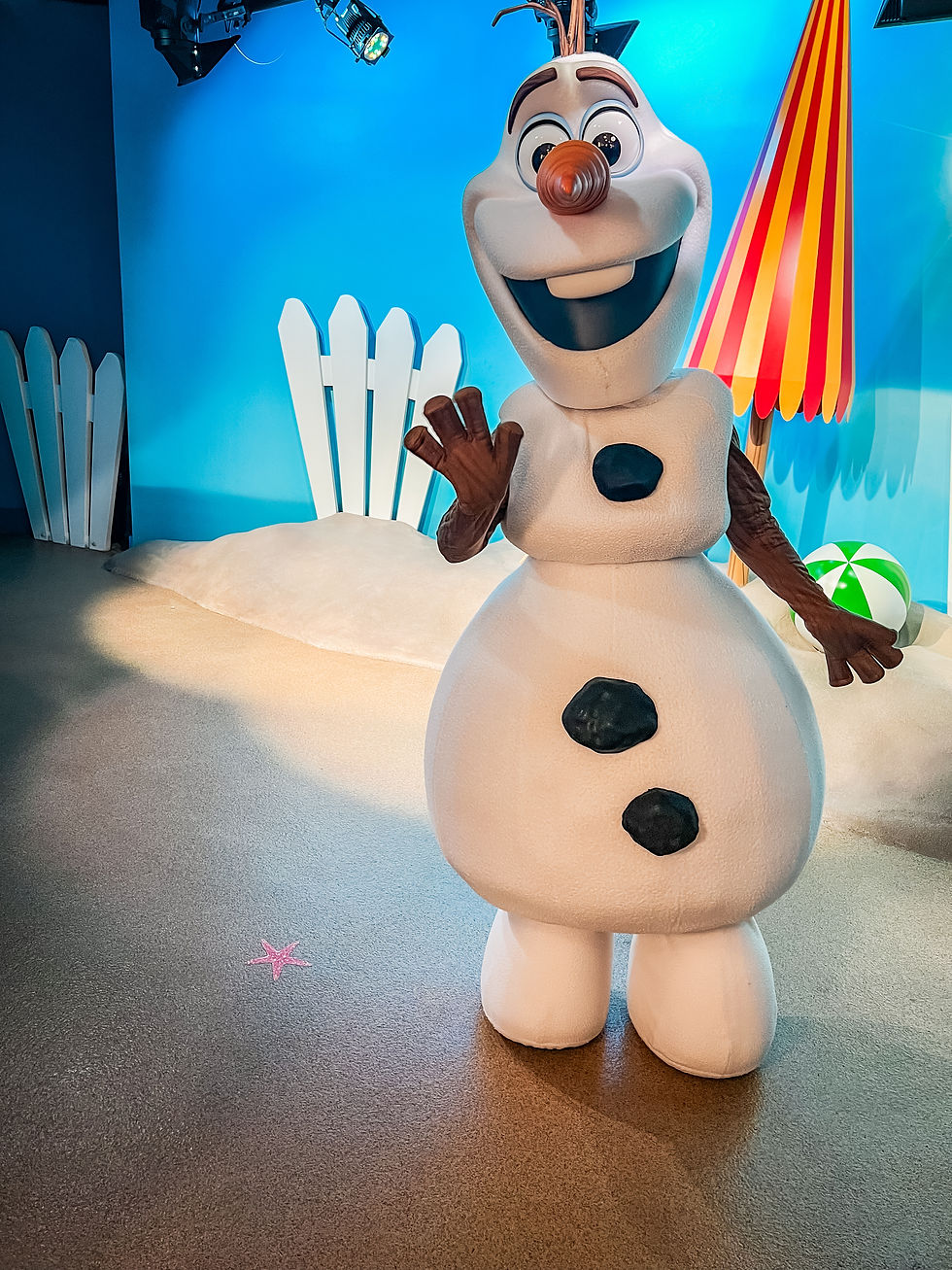 Cool off in the air conditioning and meet your favorite characters like Olaf in Hollywood Studios.
