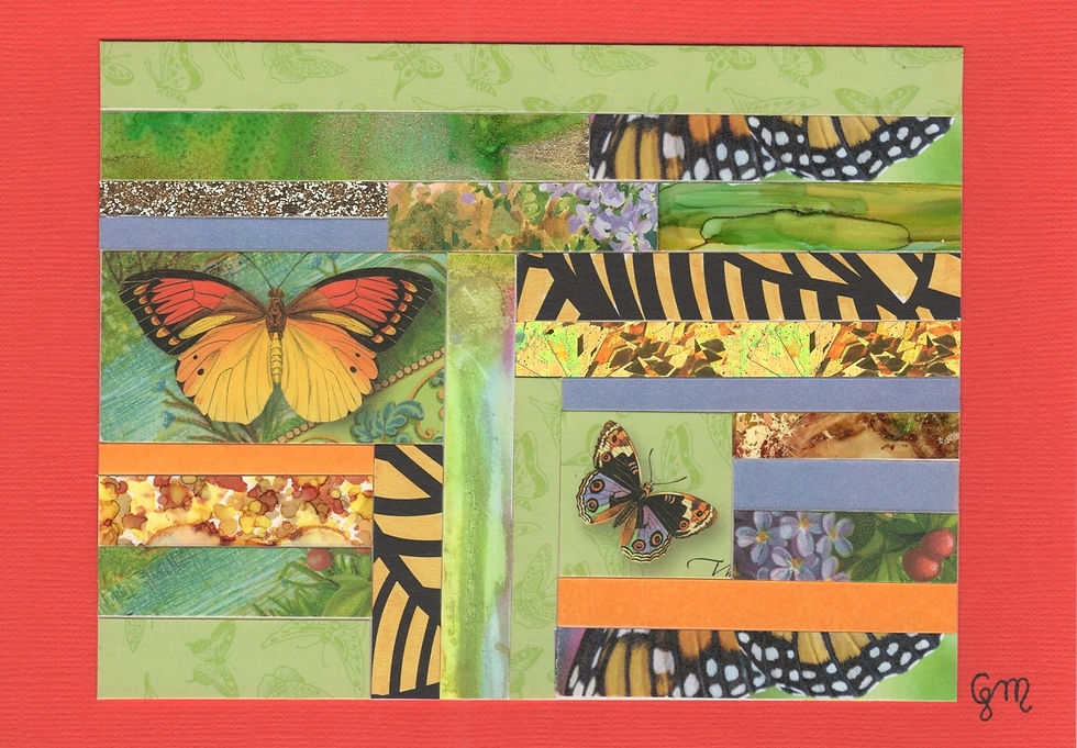 Butterfly2