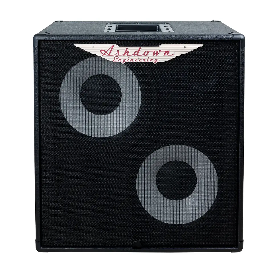 GABINETE DE BAJO COMPACTO DE 300W A 8 OHM - 2 ALTAVOCES DE 10" "RM-210T-EVO II