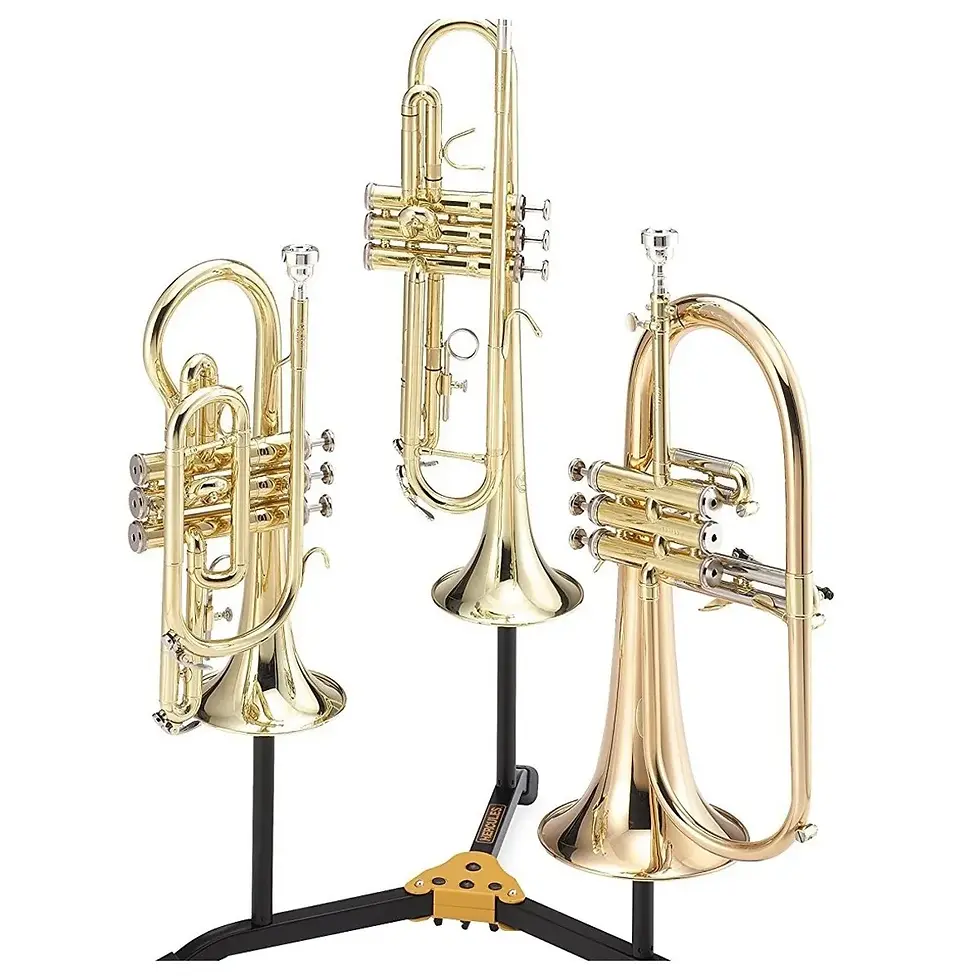 Thumbnail: STAND TRIPLE PARA TROMPETA, CORNETA, FLUGELHORN "HERCULES" DS513BB