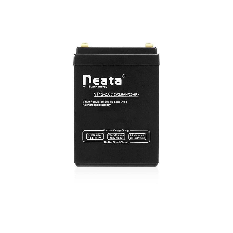 REPUESTO DE BATERIA PARA EPA40 BEHRINGER BAT1