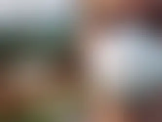 Primeira Morte por Gripe Aviária nos EUA: Um Alerta para a Saúde Global