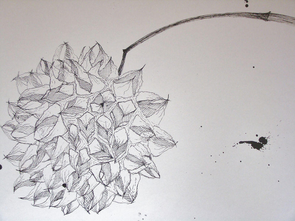 Tinta da China