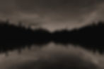 Image by Tim Navis