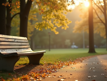 fall day at the park with a bench