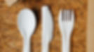 Paper Cutlery