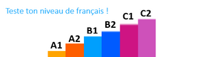 Ready to Learn French? Assess Your Language Skills Before Enrolling in a Course