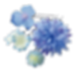 img-008.png