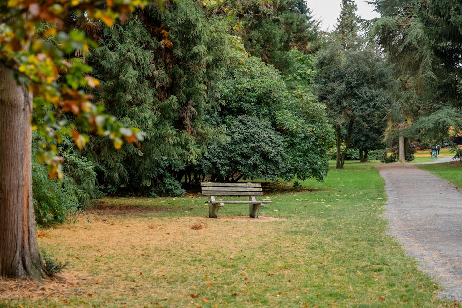 Washington Post Presidential Endorsement