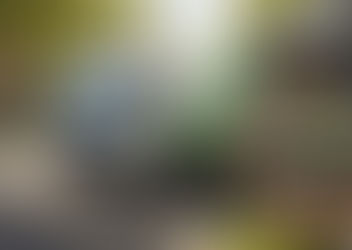 Unlock Sustainable Income: Your Guide to a Paper Recycling Business