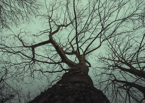 The Undeclared Tri-Axis: How Russia, China, and the USA are Redefining Global Power