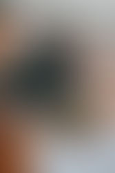 Modernize Launch Operations: The Troubled History of Russia's Vostochny Cosmodrome