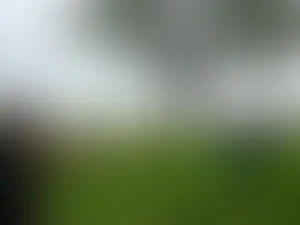 Sonoma County animal activism and the animal-welfare clash